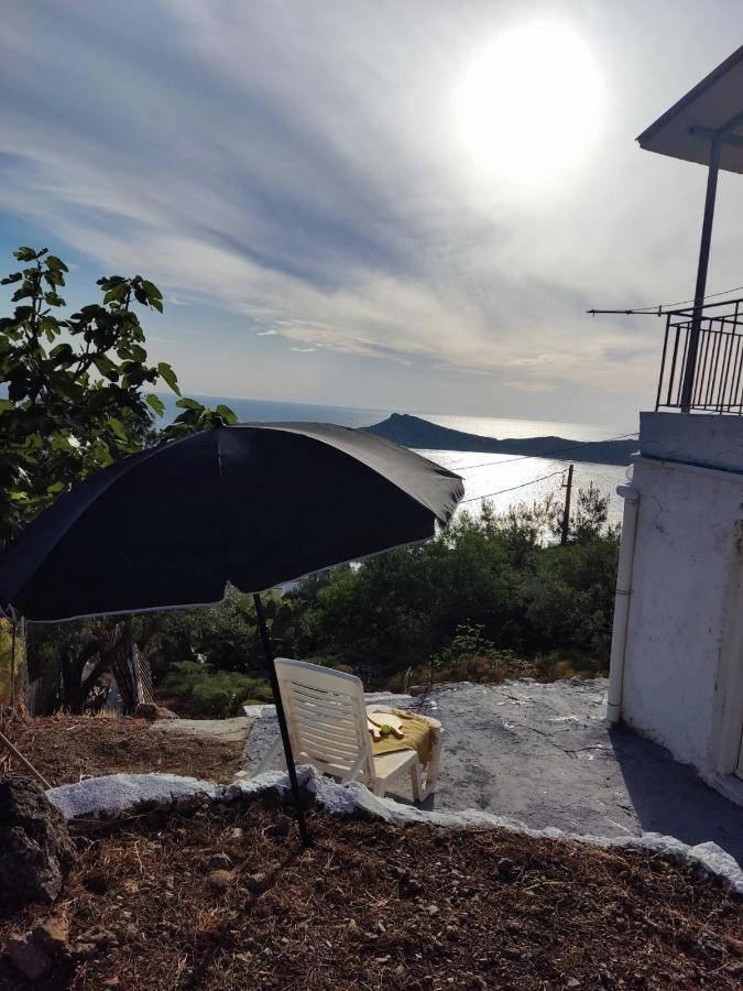 House Vakantiehuis